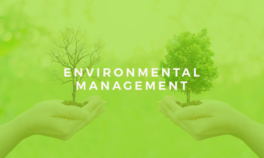 What Is The Meaning Of Environmental Management In Science